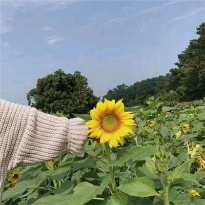 巨龙传奇最新版下载